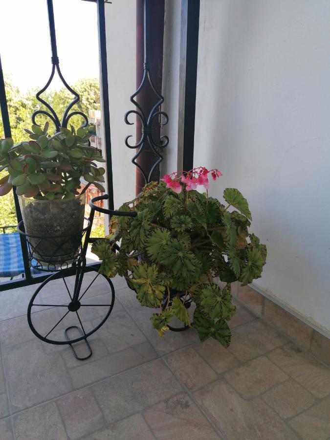 Villa Steffi Golden Sands Εξωτερικό φωτογραφία