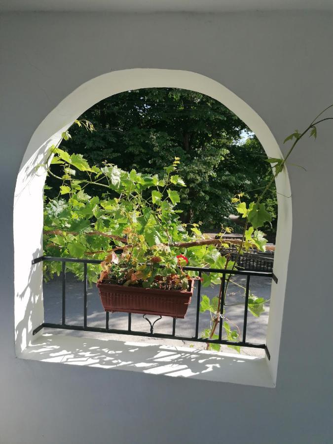 Villa Steffi Golden Sands Εξωτερικό φωτογραφία