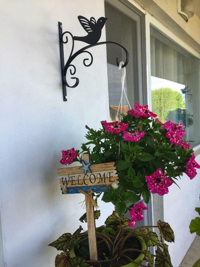 Villa Steffi Golden Sands Εξωτερικό φωτογραφία